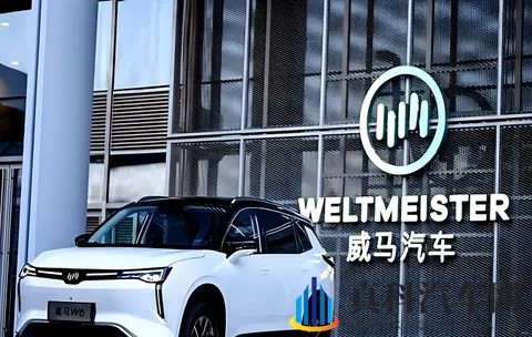 威马“物理复活”只是第一步，“市场复活”才是终极目标-2