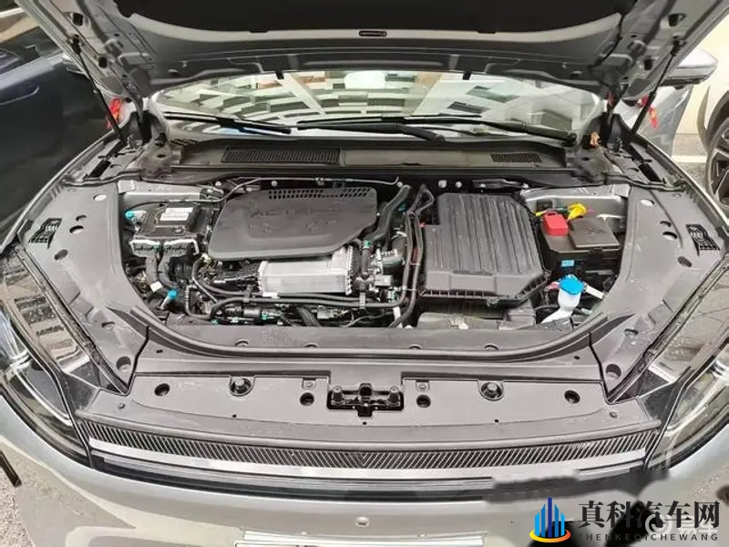 婷婷丁香花:婀娜紫云,芬芳满园-1