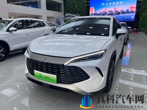 五月婷婷六月丁：车市年中激战正酣,各品牌亮出底牌-3