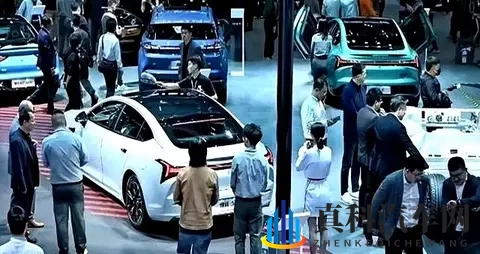 XXX污：新能源汽车革命：绿色出行未来可期-2