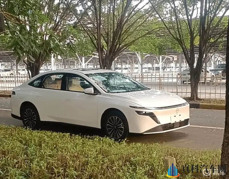 免费的色情网站app软件合集：数字丛林行车，这些风险正在靠近-1