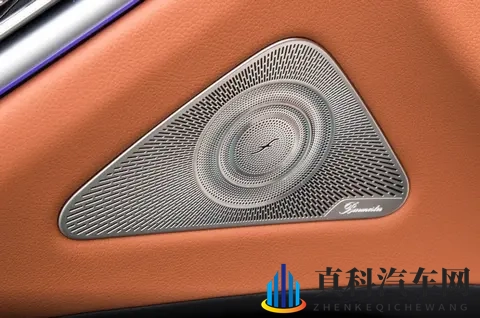 这才是梅赛德斯的味道！奔驰S级选买指南-3