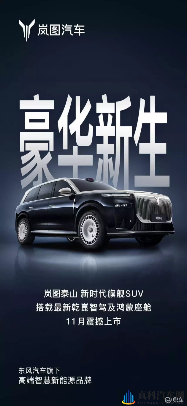 绿巨人www网络:新能源汽车崛起,未来出行新变革,你准备好了吗?-1