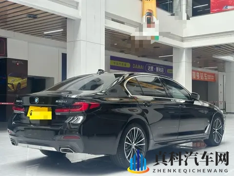 晚上看b站:新能源汽车崛起,中国市场未来可期-2