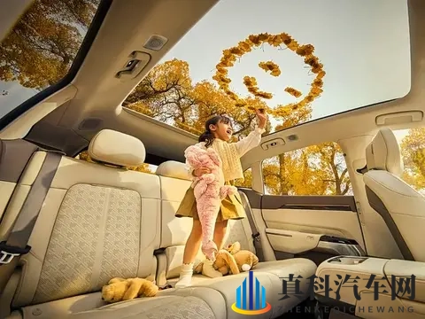 18禁止下载：汽车世界的安全红线，你了解多少-3