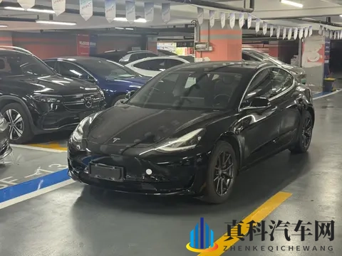 10万出头，圆你特斯拉梦！20年Model3，代步通勤优选-2