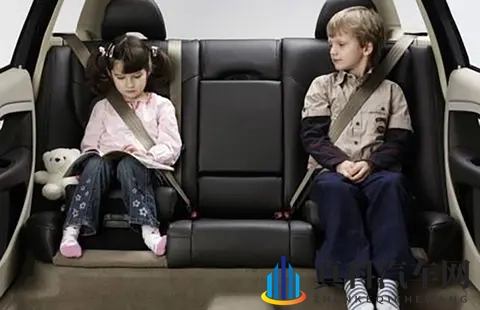 数据显示:小型客车死亡事故中后排乘客死亡人数是副驾驶的267倍-3