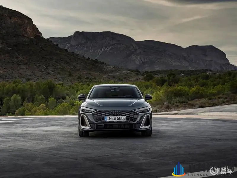 av黑人:黑人车手引领赛车时尚潮流-2