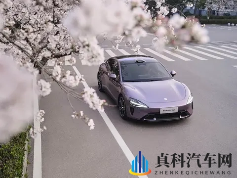 男模被脱当全身精光Gay:模特演出遭遇尴尬,衣物尽失-3