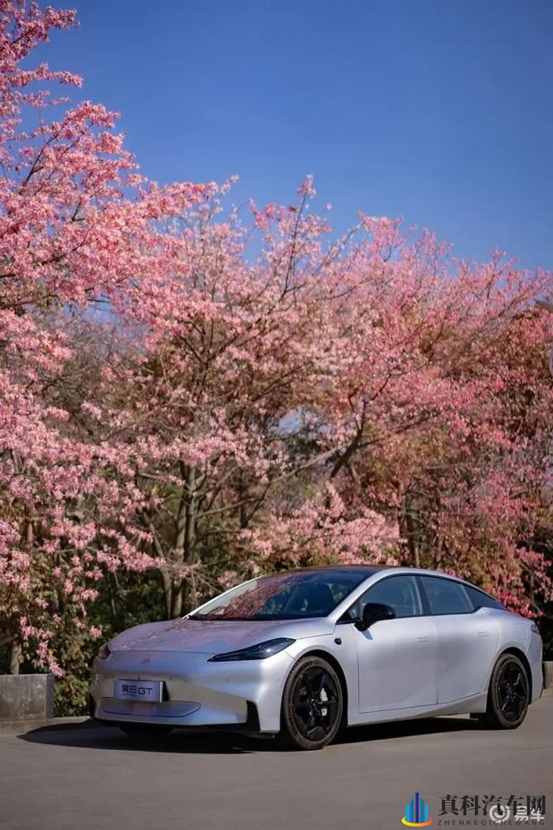 男同视频软件:彩虹世界,同志影像天地-1