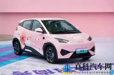 海鸥真实口碑：优点夸到停，缺点吐槽声从没断-1