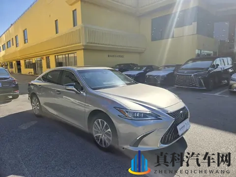 欧美wwww：欧美汽车市场新趋势：新能源、自动驾驶、个性化定制崛起-2