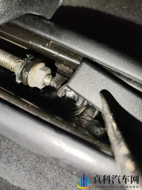 张婉莹暑假作业:张婉莹暑期作业完成情况一览-2