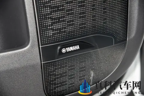 宜商宜家新选择,极氪009七座过道版实力如何?-3