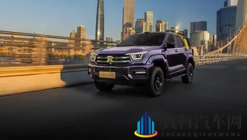 2498万元起,全新坦克400多动力齐发-3