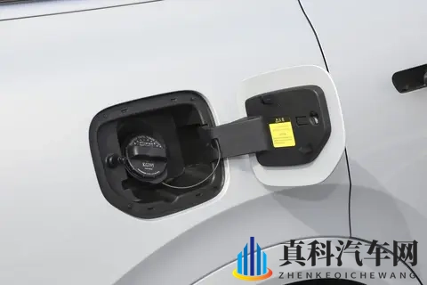 史诗级纠结？深蓝S09与魏牌蓝山，谁才是30万级大六座SUV优选？-2