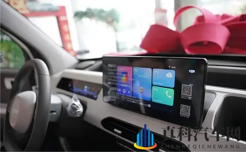 迟到的提车作业 吉利熊猫mini提车日记分享+验车步骤+当地习俗-3