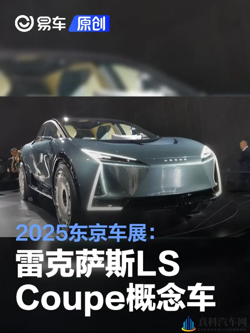 久热久热:新能源汽车热潮持续,市场前景无限-1