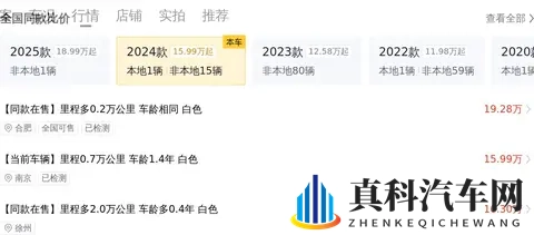 大菠萝404：SUV新宠：独特设计，智能驾驶，油耗低，空间大-2