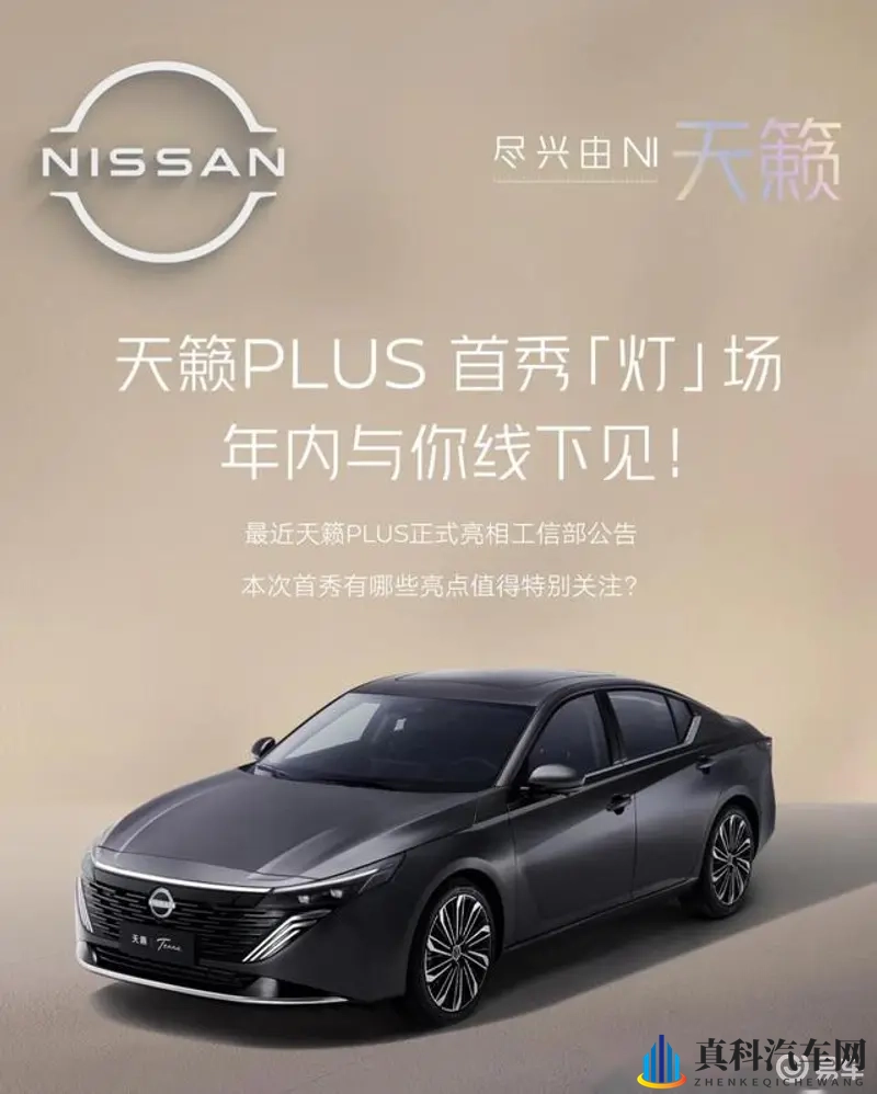 性无码:隐私保护,全面无码呈现-1