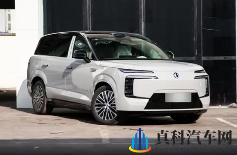 天天做天天爽:每日坚持,乐在其中-3