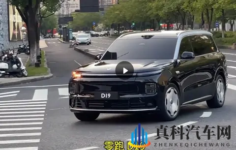 D19正式亮相!网友:只要价格合适,全都不是对手-2