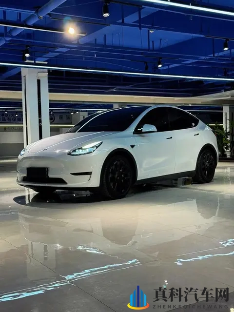 15万买二手百万特斯拉？看似捡漏，却可能是个坑！-3
