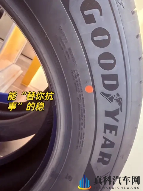 不怕减速带，也不怕井盖，我的城市冒险搭档-1