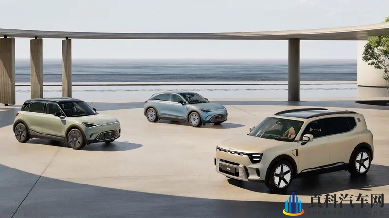 smart #1重新定义“全球小车标杆”-1