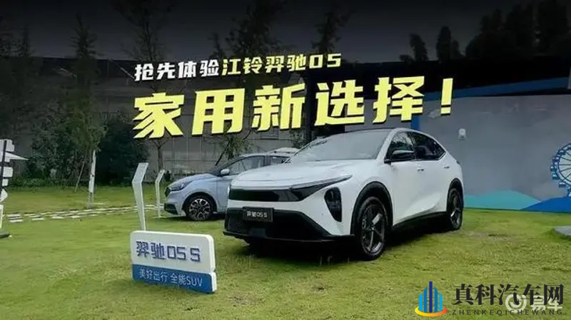 两个人看的www免费视频:激情伴侣共享,免费私密视听盛宴-2