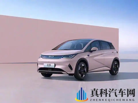 10万预算买纯电车，这五款“销量王”值得一看！-2