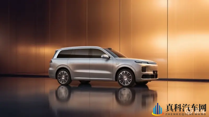 零跑D19正式开启盲订!999元意向金-1