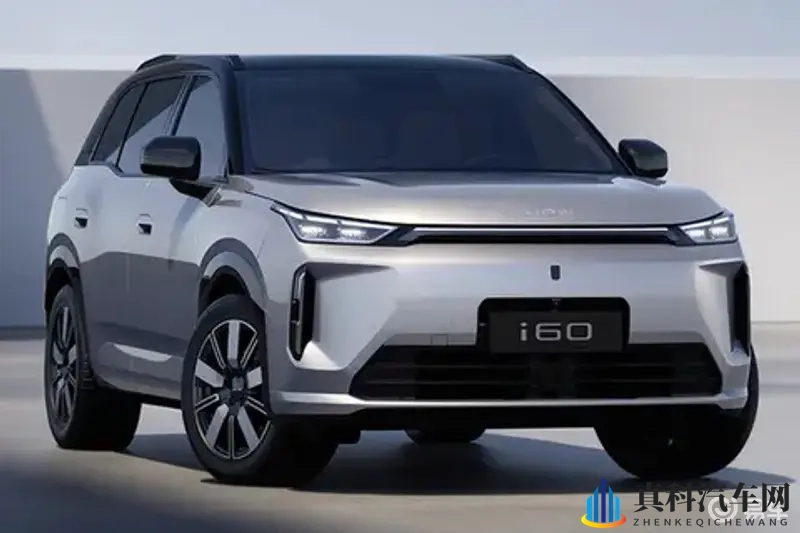 火影忍者成人18：《忍者世界风云起，少年英雄正青春》-1