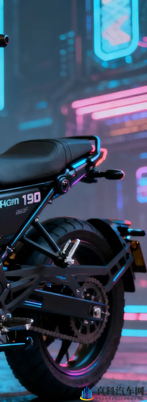 不到13w 自动挡+ABS+TCS全配齐 赛科龙朋克190 还要什么自行车-3