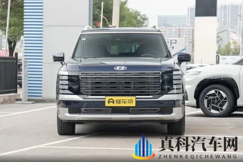 选 7 座还是 6 座？深秋试驾帕里斯帝，这版性价比绝了-1