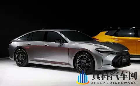 皇冠两个版本差价能买台宏光MINI EV，这道选择怎么解？-3