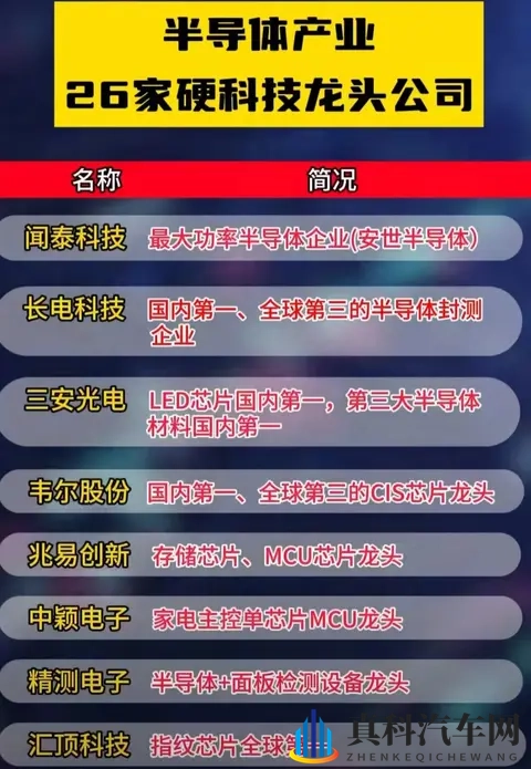 荷兰断供芯片反遭打脸，德国车企集体转向中国！-3