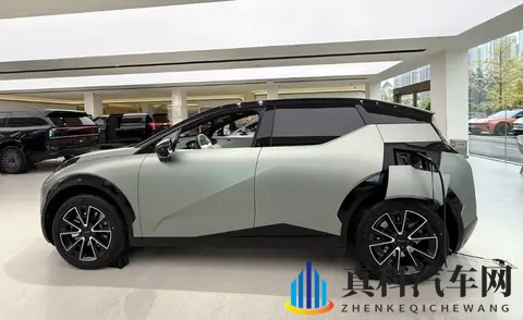 AV黑人：深色皮肤演员，成人影片角色-3