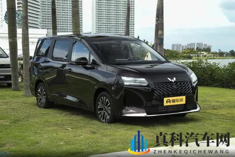 10万级MPV新标杆！星光730空间大、动力强，家用真香！-1