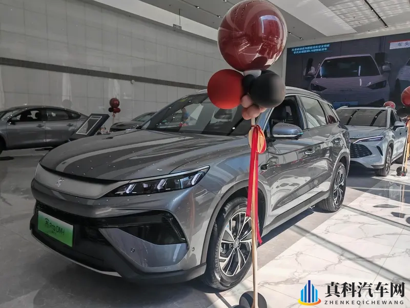 宋Pro DM-i加推，换怀挡，续航133km+四连杆-1