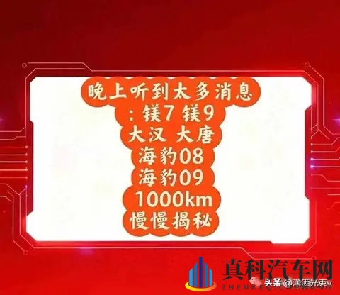 方程豹要推“镁”车，命名太硬核，品牌能扛住吗-1