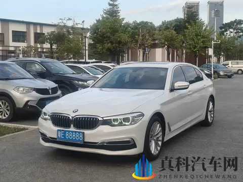 十年宝马五系，10万公里，18万不到，商务代步性价比之选-2