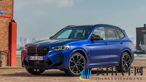 亚洲欧美日韩一区二区:汽车市场风云:多元格局下的未来趋势揭秘-3