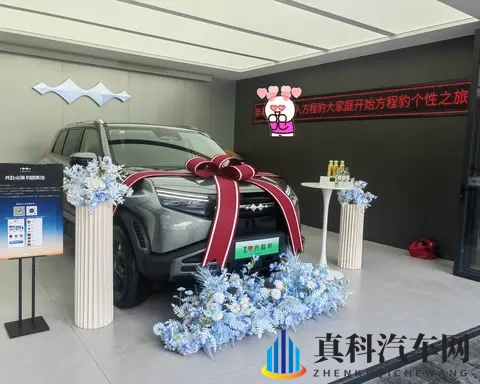 老爸安利的方程豹钛3，开上后我后悔了……-3