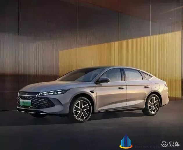 按摩师扯掉奶罩揉吮奶头:汽车养护:细节决定品质,专业呵护之道-1