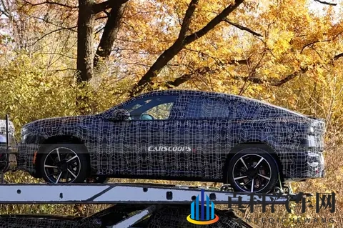 NK架构+800V，宝马iX4实车！-2