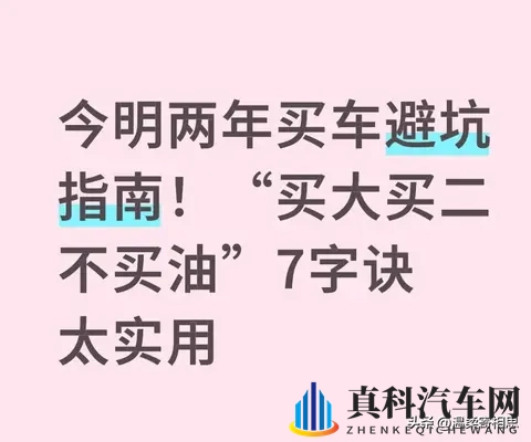 今明两年买车避坑指南！“买大买二不买油”7字诀太实用-1
