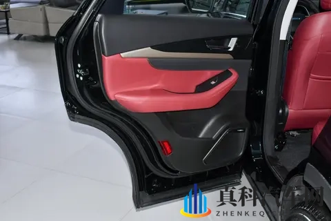 多人口家庭买车看这款，20T+8AT，终身质保，全家出行有它就够了-2