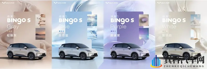 传媒春节回家相亲孟孟：春节传媒归乡遇佳缘，相亲故事引人关注-2