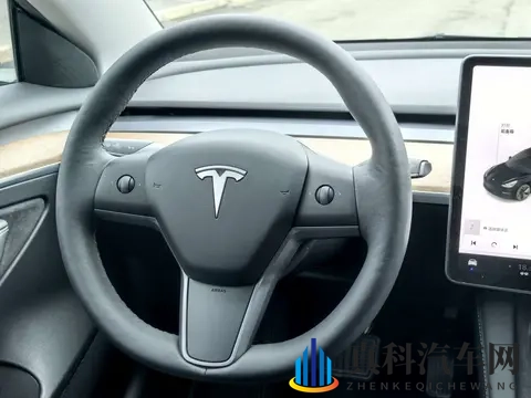 10万出头，21年特斯拉Model3，圆你绿色出行梦-1
